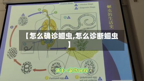 【怎么确诊蛔虫,怎么诊断蛔虫】