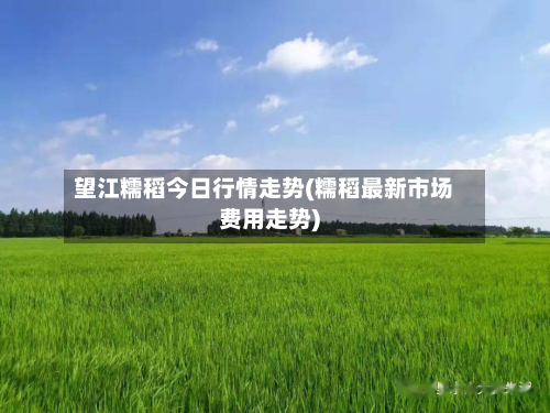 望江糯稻今日行情走势(糯稻最新市场费用走势)-第2张图片