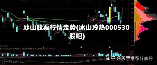 冰山股票行情走势(冰山冷热000530股吧)