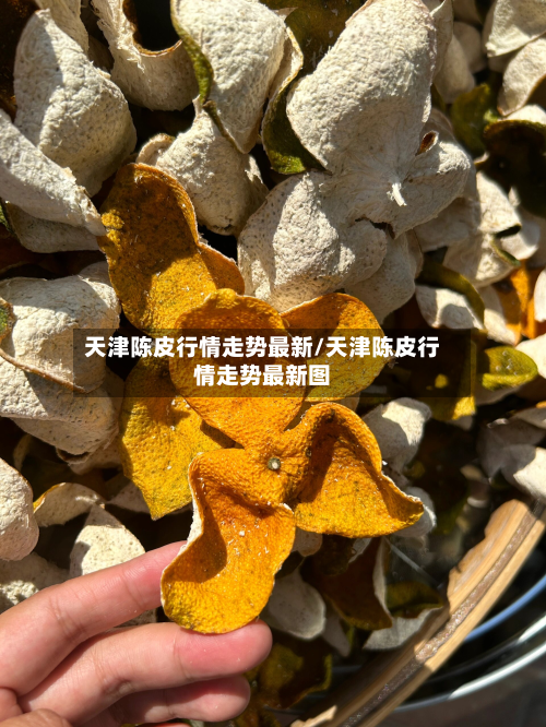 天津陈皮行情走势最新/天津陈皮行情走势最新图-第2张图片