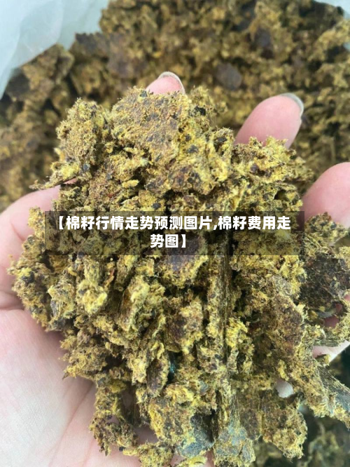 【棉籽行情走势预测图片,棉籽费用走势图】