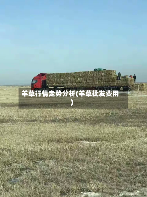 羊草行情走势分析(羊草批发费用)