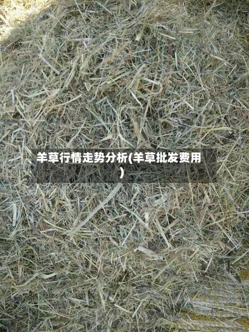 羊草行情走势分析(羊草批发费用)-第2张图片