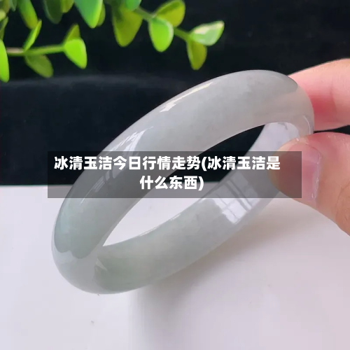 冰清玉洁今日行情走势(冰清玉洁是什么东西)