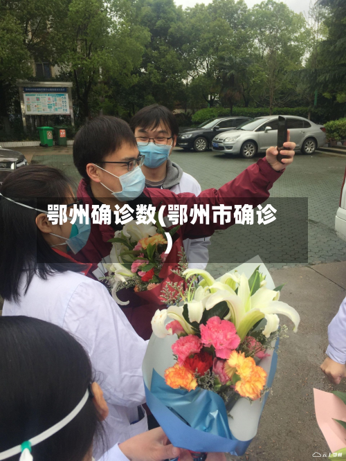 鄂州确诊数(鄂州市确诊)