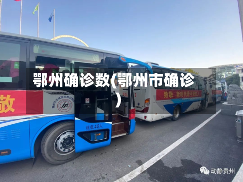 鄂州确诊数(鄂州市确诊)-第3张图片