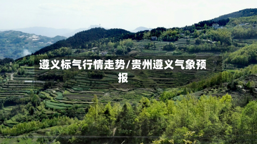 遵义标气行情走势/贵州遵义气象预报-第2张图片