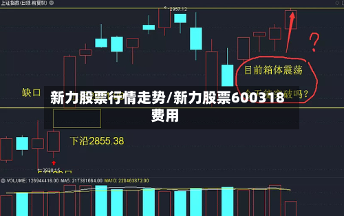 新力股票行情走势/新力股票600318费用-第3张图片