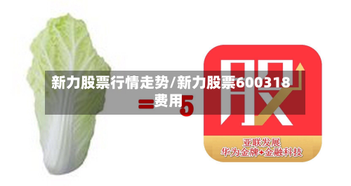 新力股票行情走势/新力股票600318费用