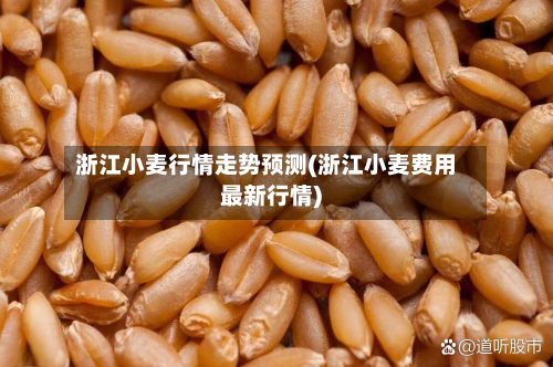 浙江小麦行情走势预测(浙江小麦费用最新行情)