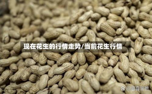 现在花生的行情走势/当前花生行情