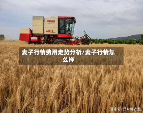 麦子行情费用走势分析/麦子行情怎么样