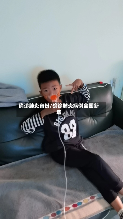 确诊肺炎省份/确诊肺炎病例全国新增