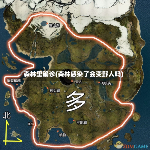 森林里确诊(森林感染了会变野人吗)