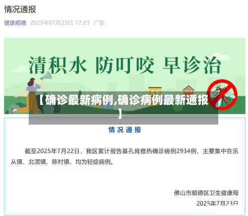 【确诊最新病例,确诊病例最新通报】-第2张图片