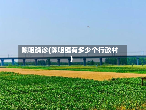 陈咀确诊(陈咀镇有多少个行政村)