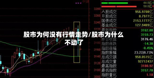 股市为何没有行情走势/股市为什么不动了