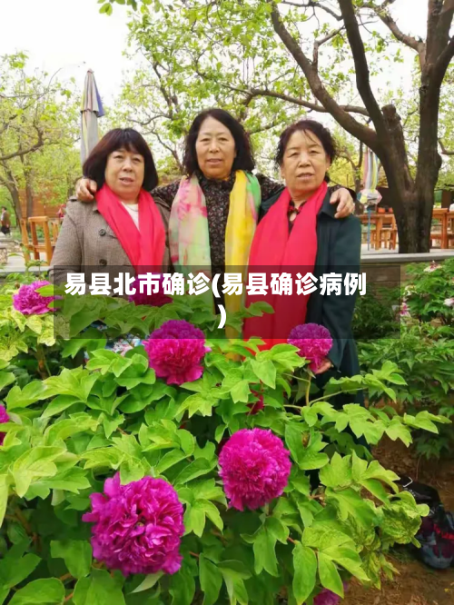 易县北市确诊(易县确诊病例)-第2张图片