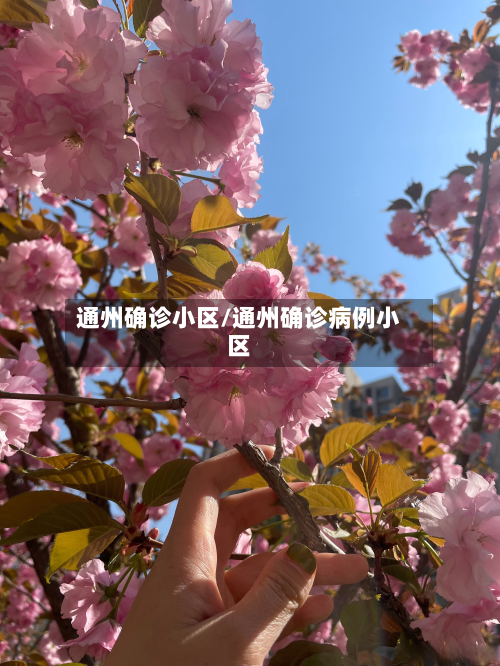 通州确诊小区/通州确诊病例小区