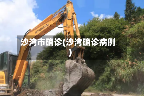 沙湾市确诊(沙湾确诊病例)