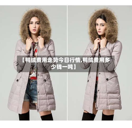 【鸭绒费用走势今日行情,鸭绒费用多少钱一吨】