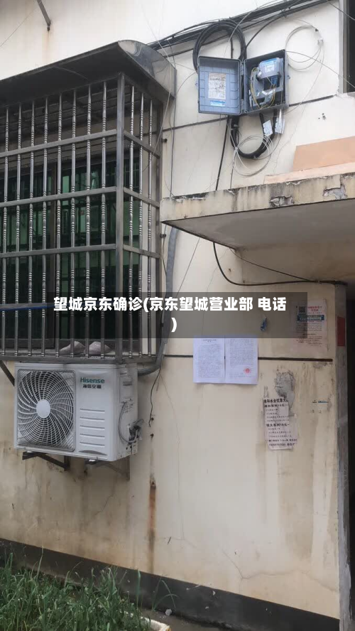 望城京东确诊(京东望城营业部 电话)