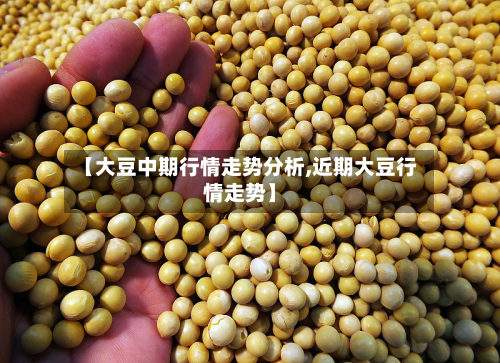 【大豆中期行情走势分析,近期大豆行情走势】