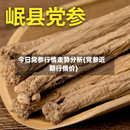 今日党参行情走势分析(党参近期行情价)