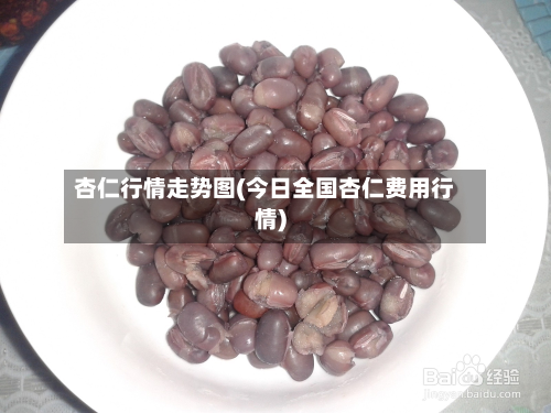 杏仁行情走势图(今日全国杏仁费用行情)-第2张图片