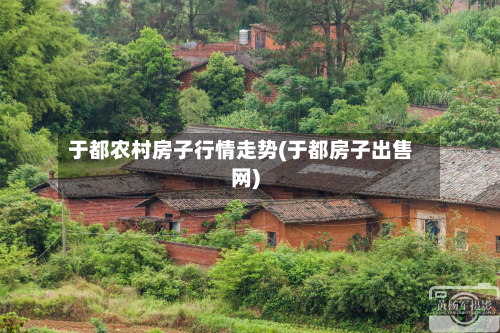 于都农村房子行情走势(于都房子出售网)