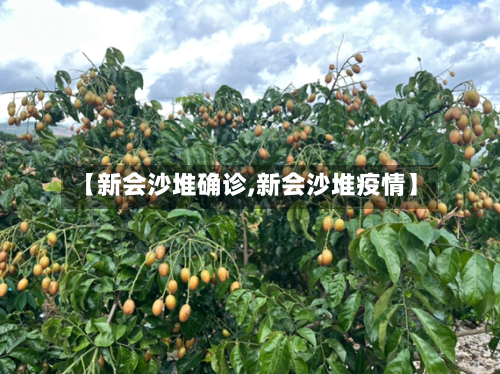 【新会沙堆确诊,新会沙堆疫情】