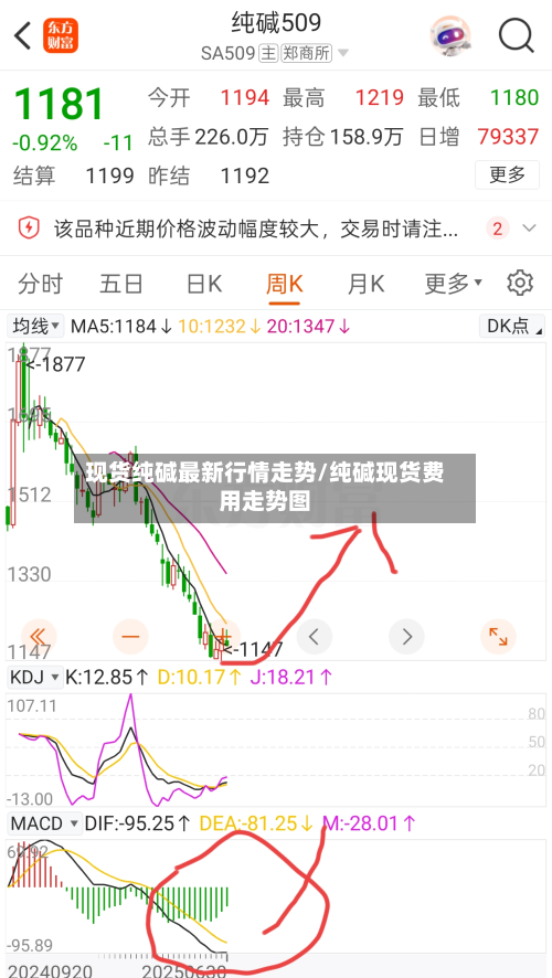 现货纯碱最新行情走势/纯碱现货费用走势图-第2张图片