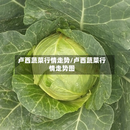 卢西蔬菜行情走势/卢西蔬菜行情走势图