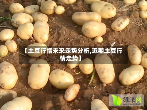 【土豆行情未来走势分析,近期土豆行情走势】