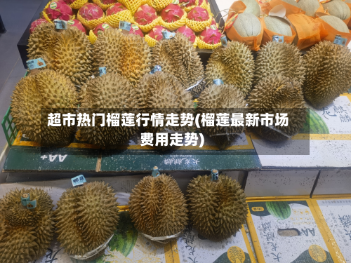 超市热门榴莲行情走势(榴莲最新市场费用走势)