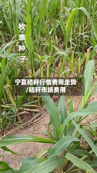 宁夏秸秆行情费用走势/秸秆市场费用-第3张图片