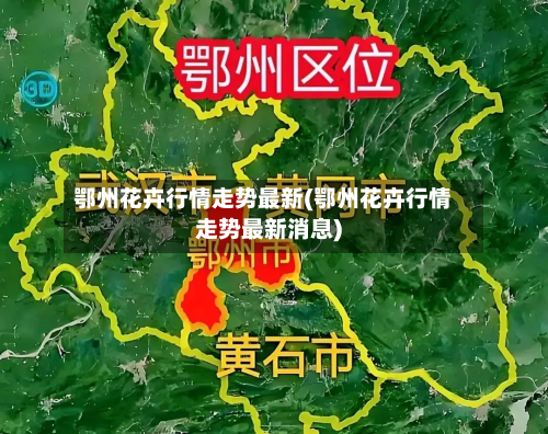 鄂州花卉行情走势最新(鄂州花卉行情走势最新消息)-第3张图片