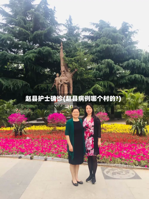 赵县护士确诊(赵县病例哪个村的?)-第3张图片