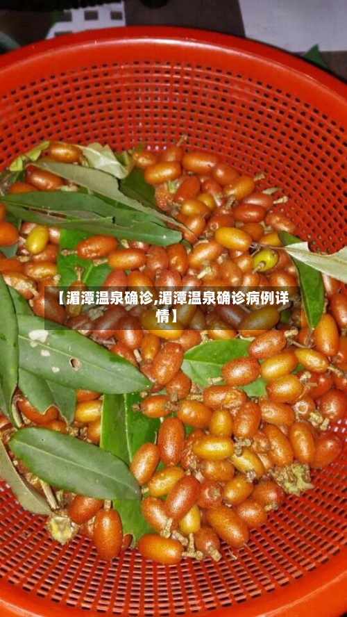【湄潭温泉确诊,湄潭温泉确诊病例详情】