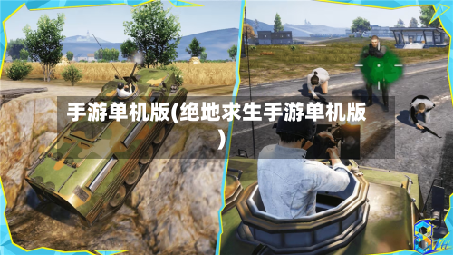 手游单机版(绝地求生手游单机版)