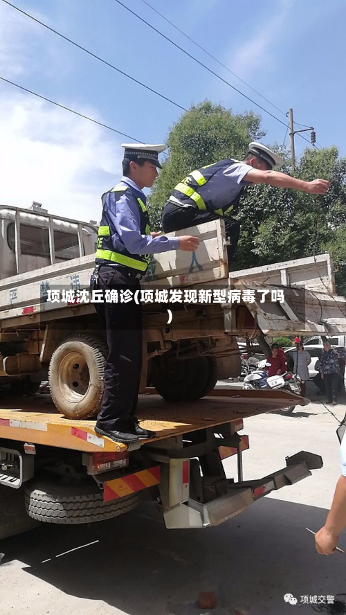 项城沈丘确诊(项城发现新型病毒了吗)-第2张图片