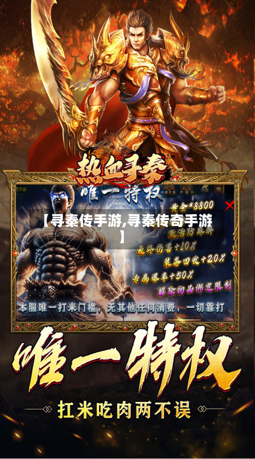 【寻秦传手游,寻秦传奇手游】-第2张图片