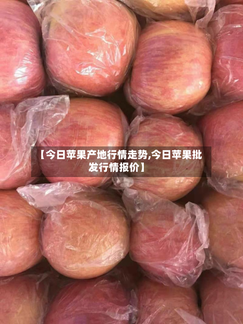 【今日苹果产地行情走势,今日苹果批发行情报价】