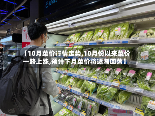 【10月菜价行情走势,10月份以来菜价一路上涨,预计下月菜价将逐渐回落】