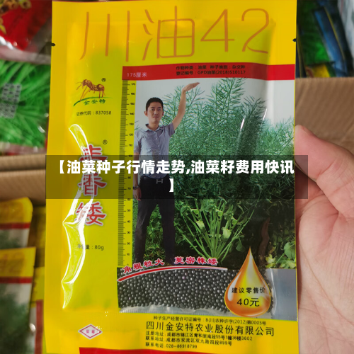 【油菜种子行情走势,油菜籽费用快讯】