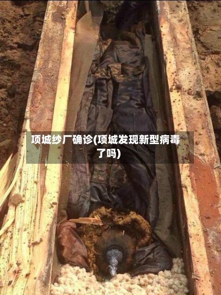 项城纱厂确诊(项城发现新型病毒了吗)-第2张图片