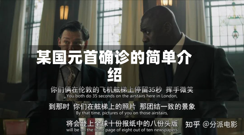 某国元首确诊的简单介绍