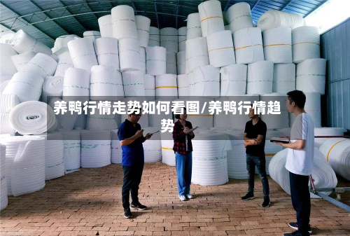 养鸭行情走势如何看图/养鸭行情趋势