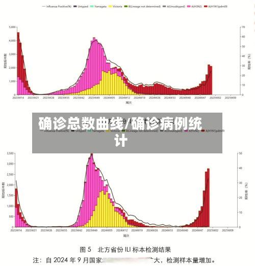 确诊总数曲线/确诊病例统计