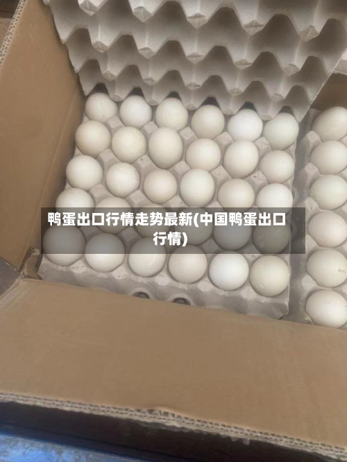 鸭蛋出口行情走势最新(中国鸭蛋出口行情)-第2张图片